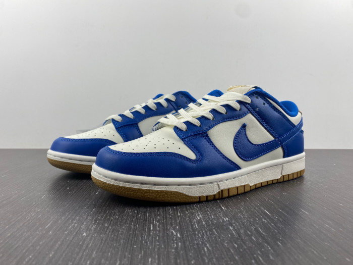 Nike Dunk Low  FB7173-141