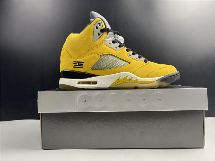 AIR JORDAN 5 RETRO TOKYO T23 454783-701