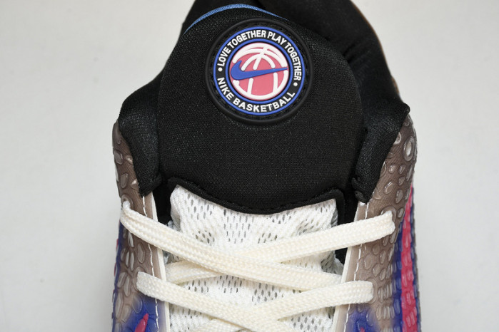 NIKE Kobe VI Protro  CW2190 700