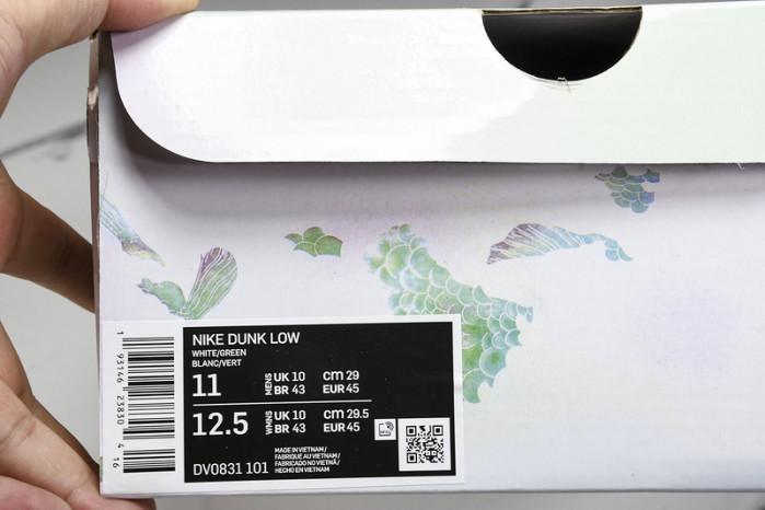 Nike SB DUNK LOW DV0831-101