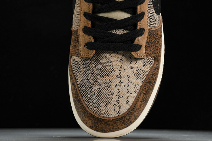 Nike Dunk Low Premium ATMOS  FJ5434-120