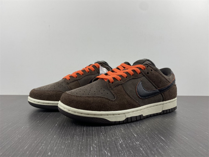 Nike Dunk Low Retro  DQ8801-200
