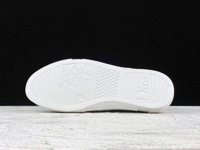 D10R B23  Homme Kaws Low Top Sneaker