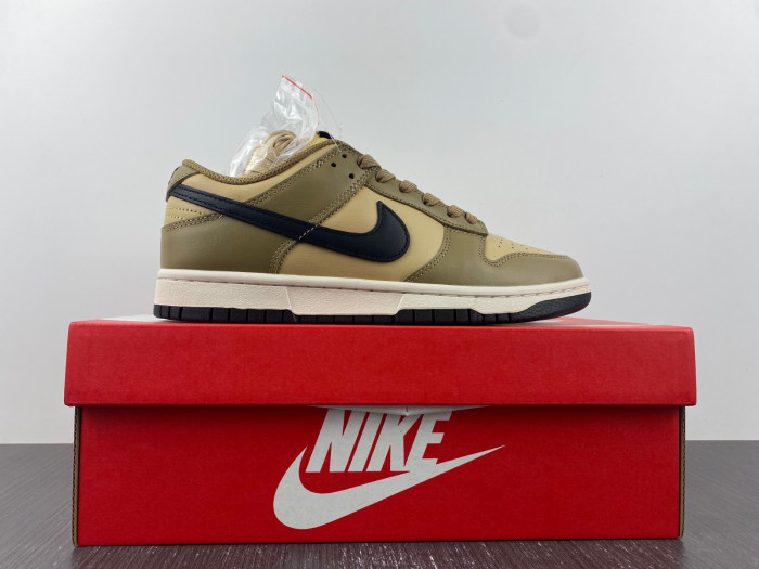 Nike SB Low Dark Driftwood DD1503-200