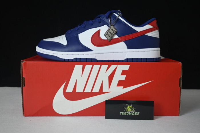 NIKE DUNK LOW DD1503-119
